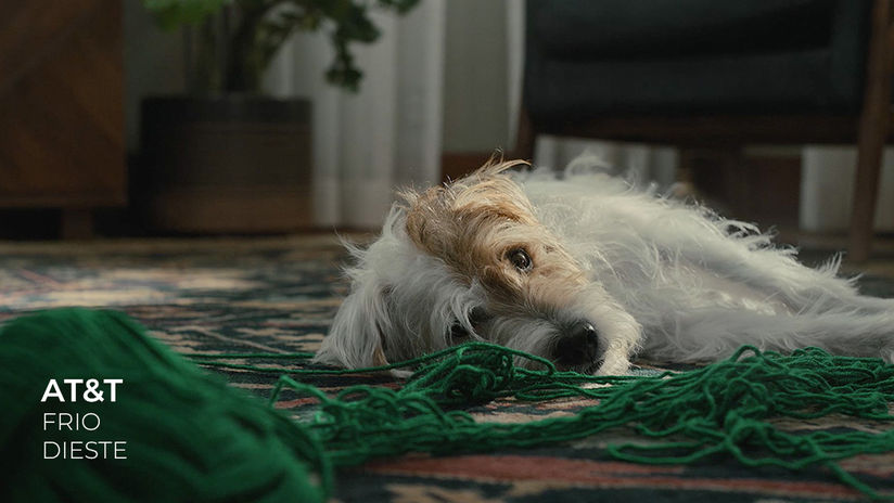 AT&T - Frio (Dieste)